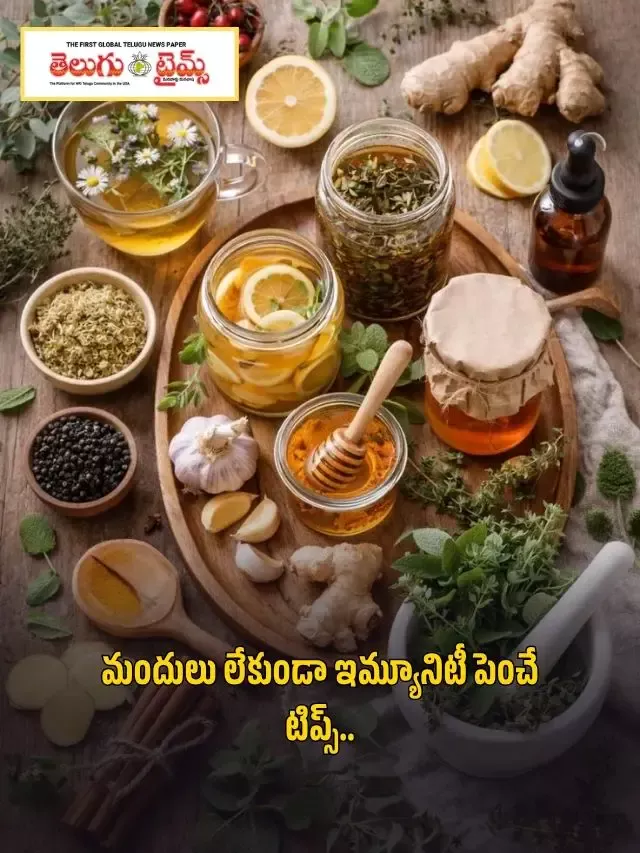 మందులు లేకుండా ఇమ్యూనిటీ పెంచే టిప్స్..