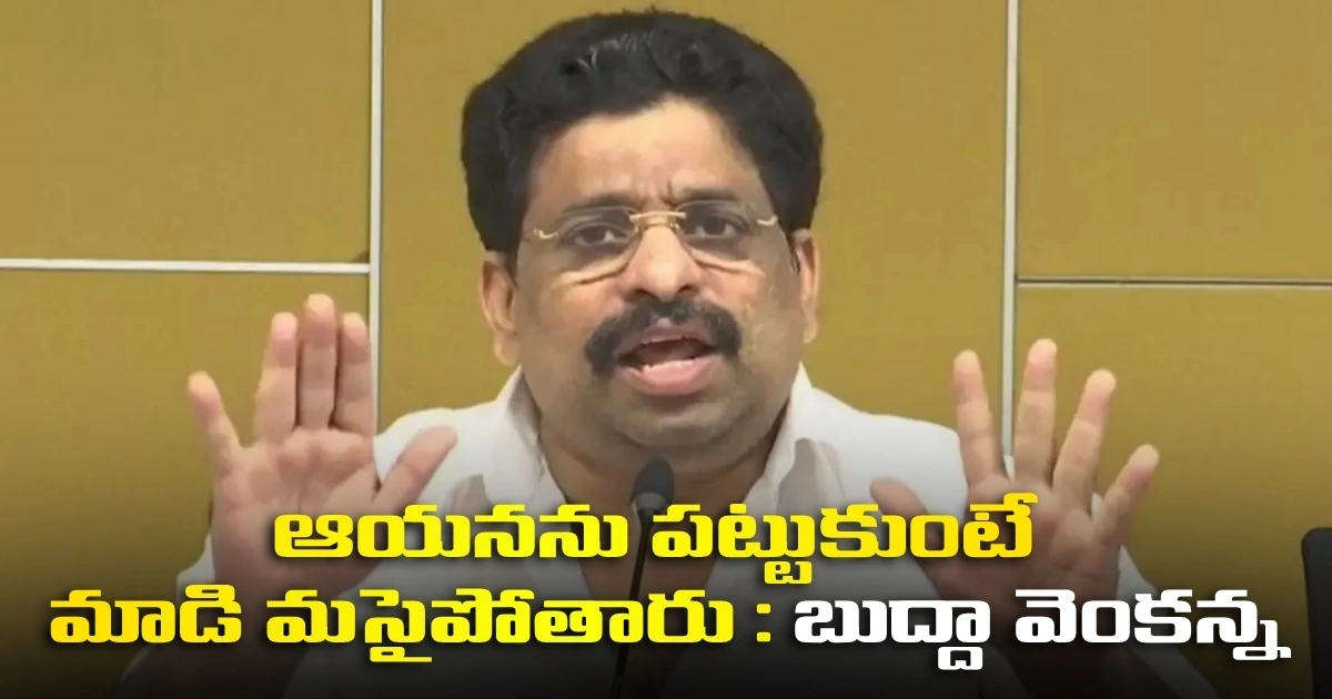 ఆయనను పట్టుకుంటే మాడి మసైపోతారు : బుద్దా వెంకన్న Cm Chandrababu Is A Fire Like Leader Says Tdp Leader Buddha Venkanna Ahead Of Mahanadu