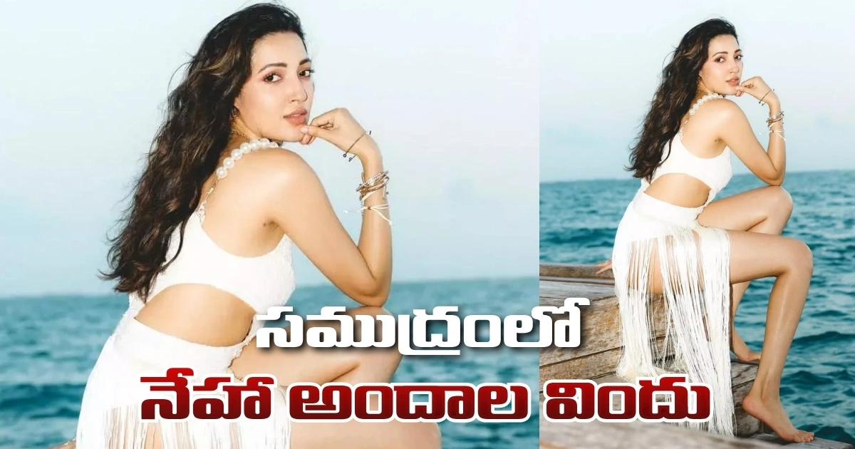 సముద్రంలో నేహా అందాల విందు