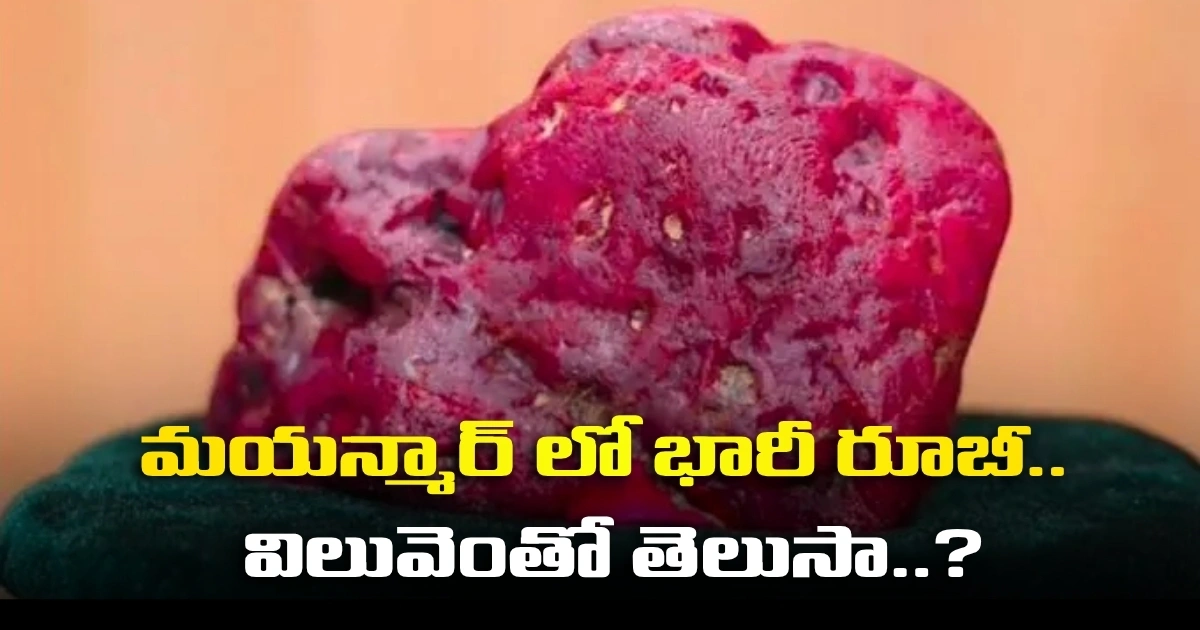 మయన్మార్ లో భారీ రూబీ.. విలువెంతో తెలుసా..? మయన్మార్ లో భారీ రూబీ.. విలువెంతో తెలుసా..?