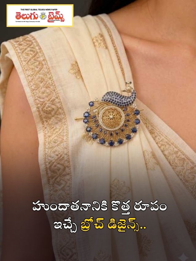 హుందాతనానికి కొత్త రూపం ఇచ్చే బ్రోచ్ డిజైన్స్..