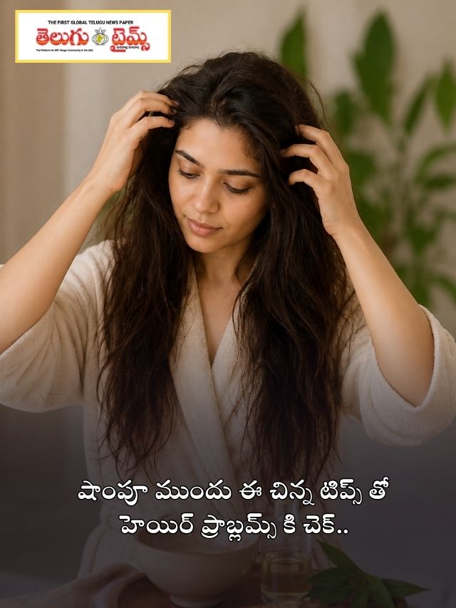 షాంపూ ముందు ఈ చిన్న టిప్స్ తో హెయిర్ ప్రాబ్లమ్స్ కి చెక్..