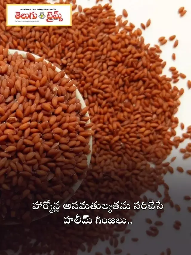 హార్మోన్ల అసమతుల్యతను సరిచేసే హలీమ్ గింజలు..