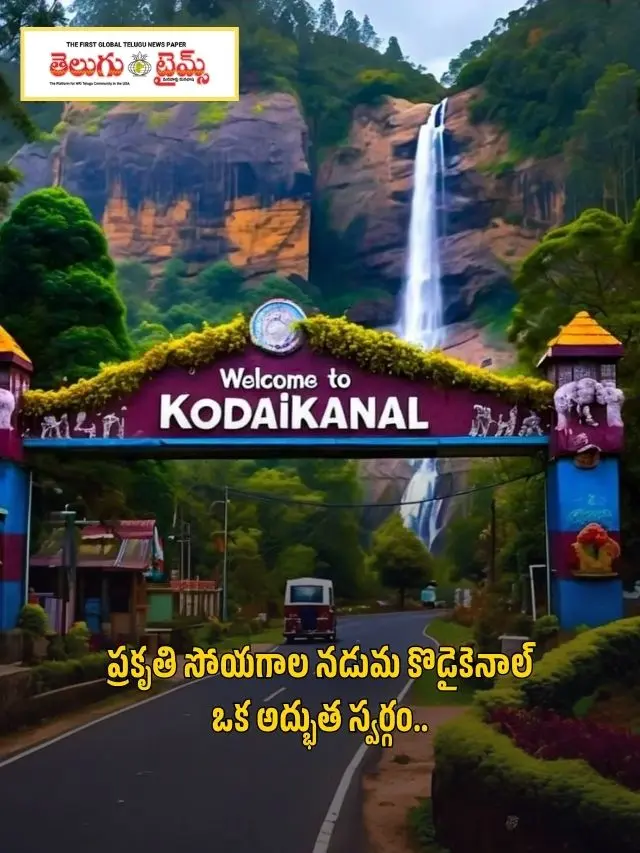 Kodaikanal is a wonderful paradise amidst the wonders of nature.