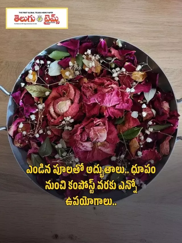 ఎండిన పూలతో అద్భుతాలు.. ధూపం నుంచి కంపోస్ట్ వరకు ఎన్నో ఉపయోగాలు..