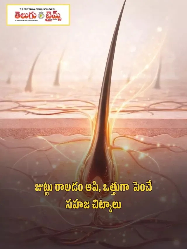 జుట్టు రాలడం ఆపి, ఒత్తుగా  పెంచే సహజ చిట్కాలు