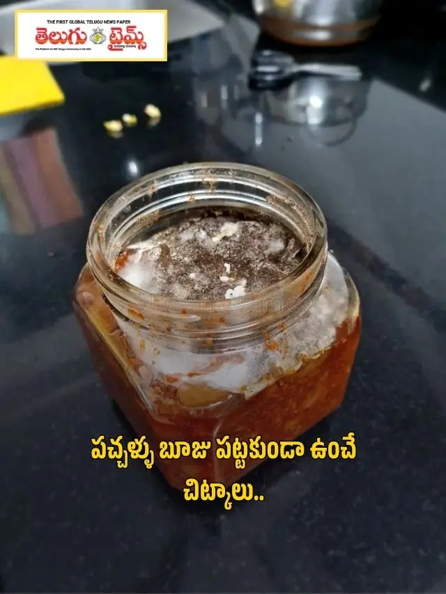 Prevent Pickles from Getting Moldy