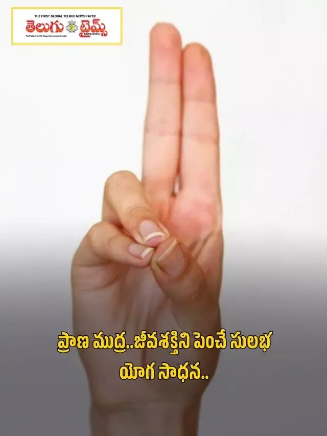 ప్రాణ ముద్ర..జీవశక్తిని పెంచే సులభ యోగ సాధన..