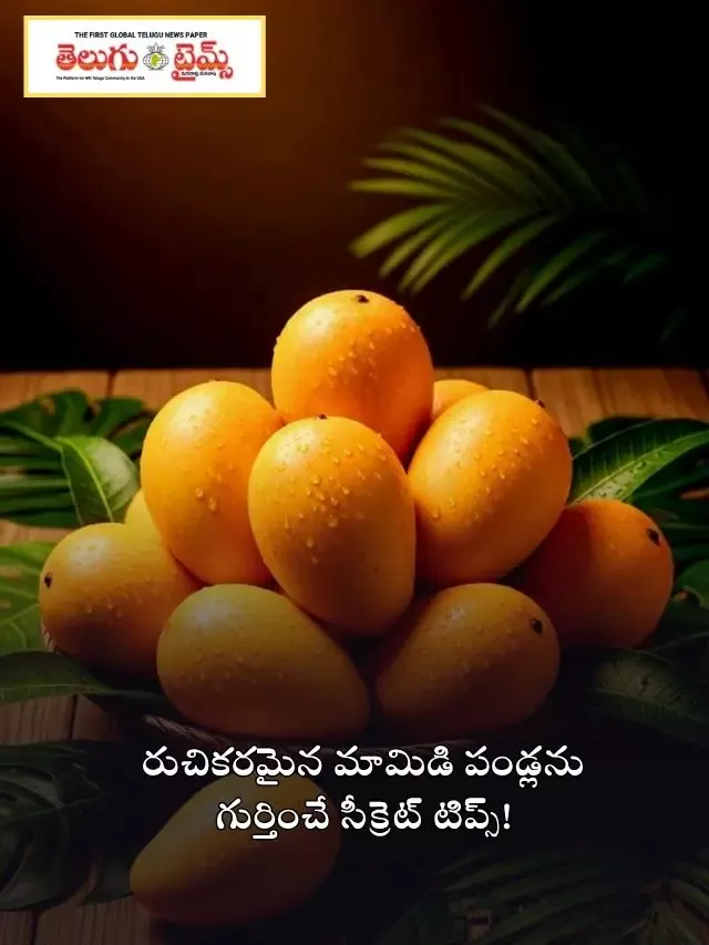 రుచికరమైన మామిడి పండ్లను గుర్తించే సీక్రెట్ టిప్స్!