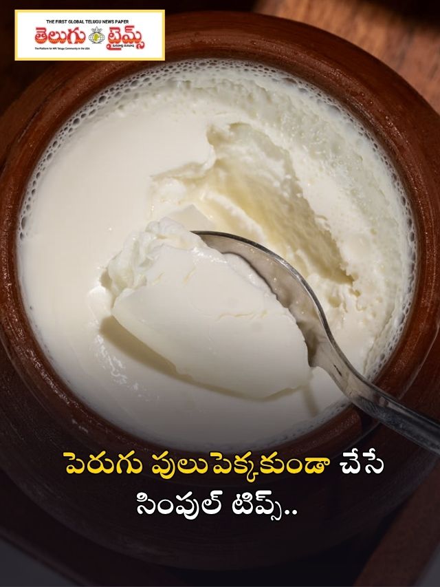పెరుగు పులుపెక్కకుండా చేసే సింపుల్ టిప్స్..