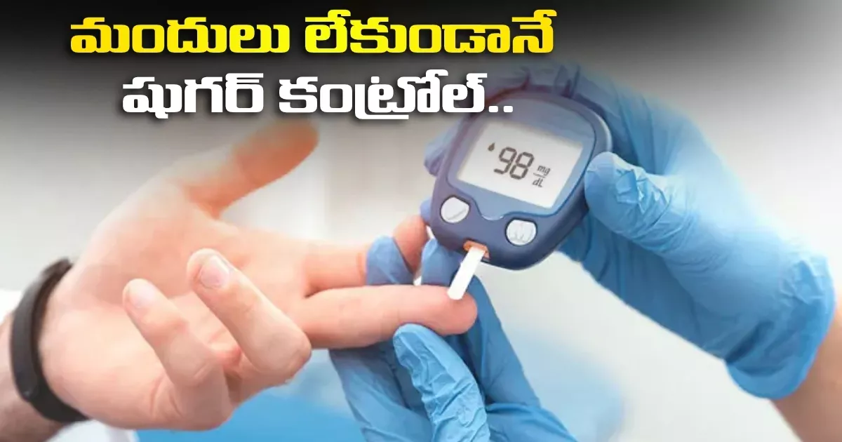 మందులు లేకుండానే షుగర్ కంట్రోల్.. నిపుణులు చెప్తున్న ఆ సీక్రెట్స్ ఇవే! Three Simple Lifestyle Changes Can Reduce Diabetes Risk By Thirty One Percent Says Study