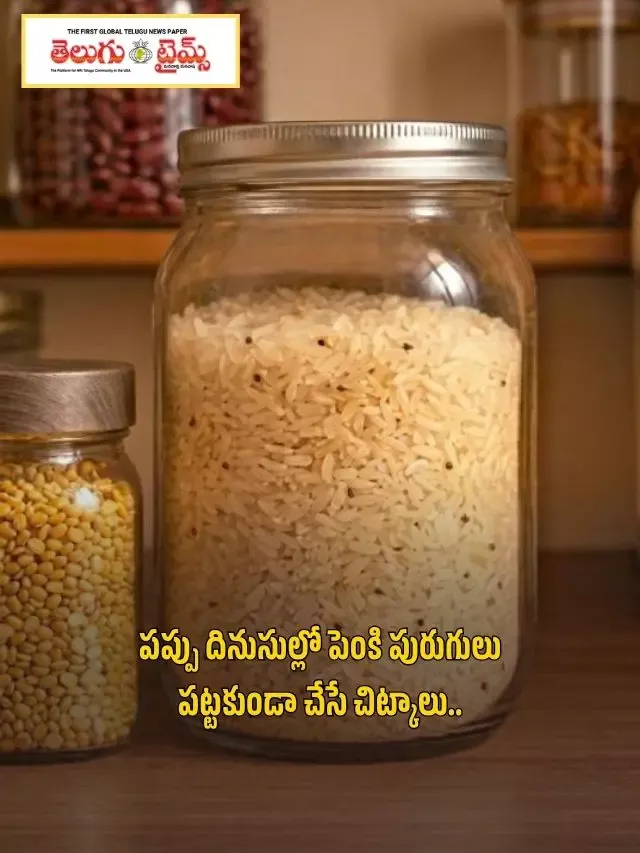 పప్పు దినుసుల్లో పెంకి పురుగులు పట్టకుండా చేసే చిట్కాలు..