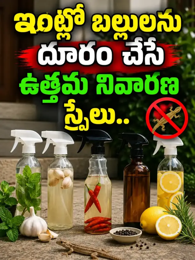 ఇంట్లో బల్లులను దూరం చేసే ఉత్తమ నివారణ స్ప్రేలు..