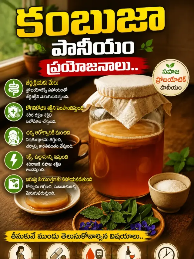 కంబుజా పానీయం ప్రయోజనాలు..తీసుకునే ముందు తెలుసుకోవాల్సిన విషయాలు..