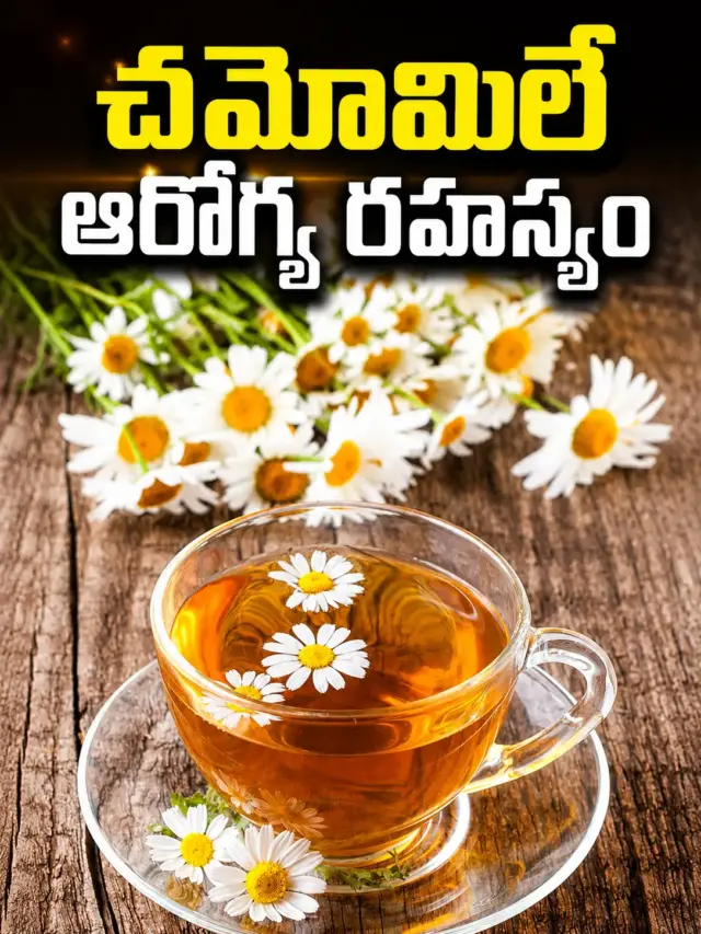 సహజ ఆరోగ్యానికి దివ్య ఔషధం.. చమోమిలే టీ..