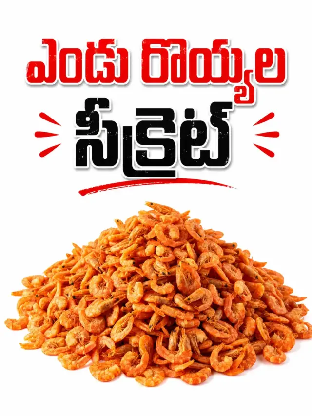 మటన్‌కంటే ఎక్కువ బలం ఇచ్చే ఎండు రొయ్యలు..
