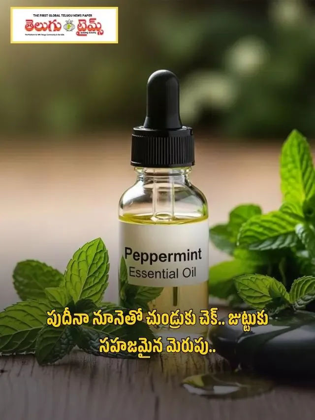 బట్ట తలపై కొత్త జుట్టు మొలిపించే పుదీనా నూనె