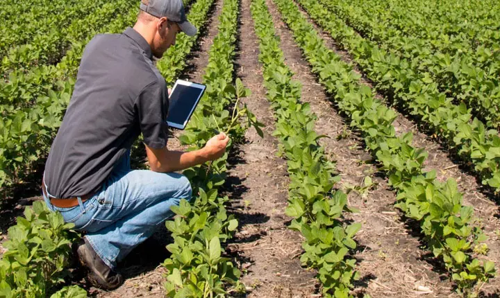 Government Offers Huge Subsidies On Smart Micro Irrigation And Automation Systems For Farmers 