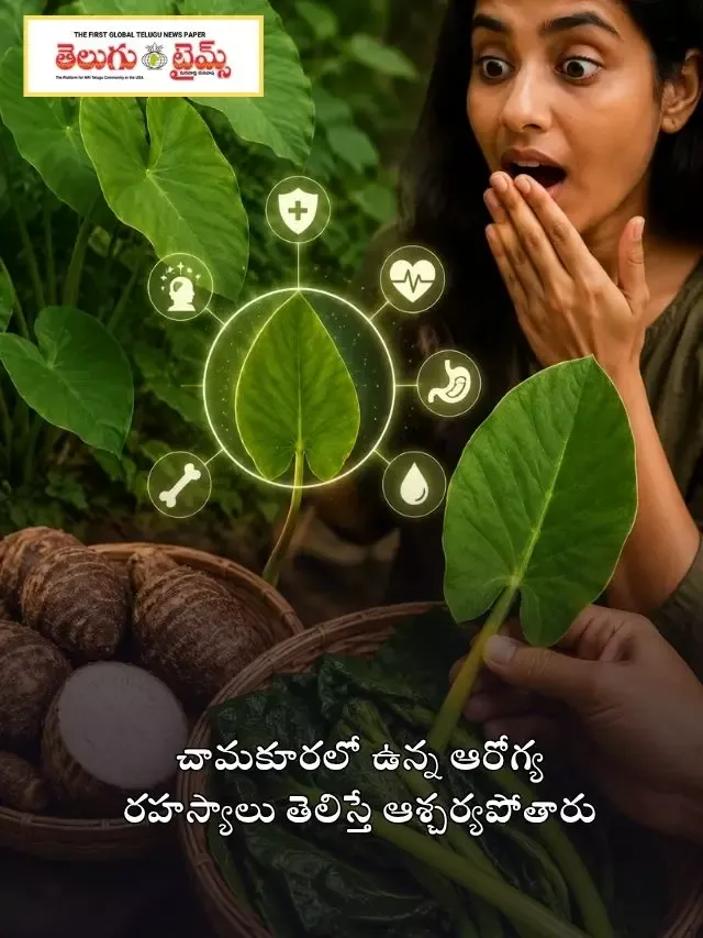 చామకూరలో ఉన్న ఆరోగ్య రహస్యాలు తెలిస్తే ఆశ్చర్యపోతారు