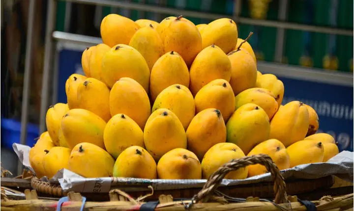 Unprecedented Craze And Massive Demand For Indian Mangoes In United States Markets 