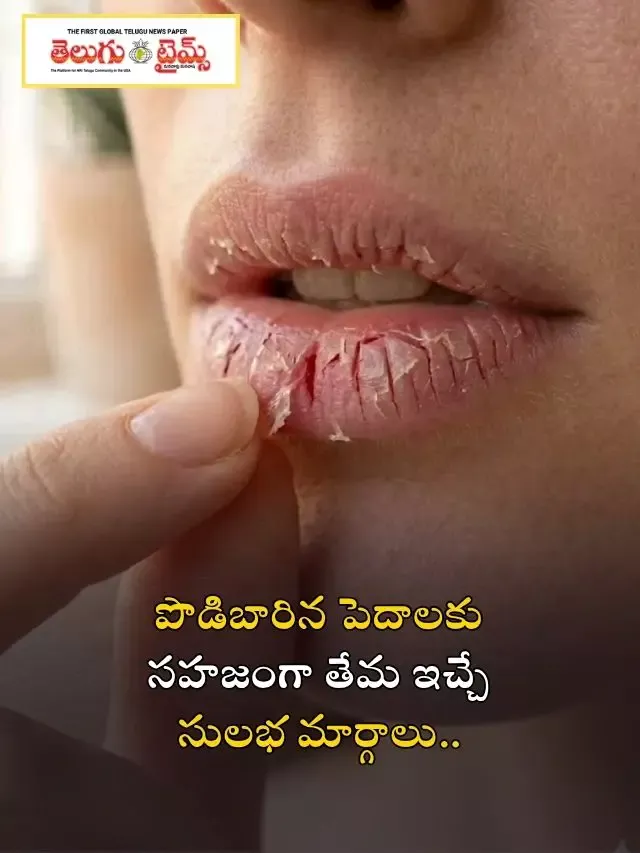 పొడిబారిన పెదాలకు సహజంగా తేమ ఇచ్చే సులభ మార్గాలు..