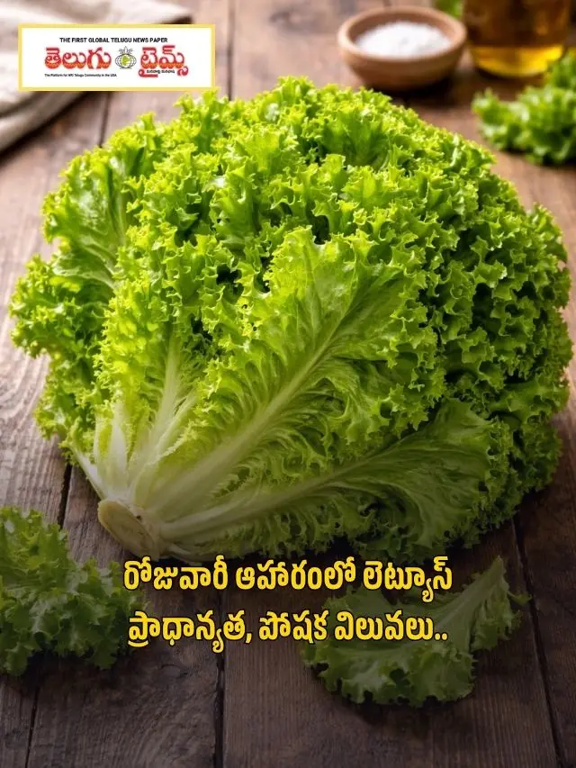 nutritional value of lettuce in daily diet