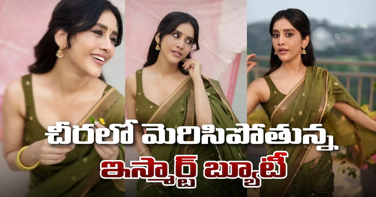 చీరలో మెరిసిపోతున్న ఇస్మార్ట్ బ్యూటీ