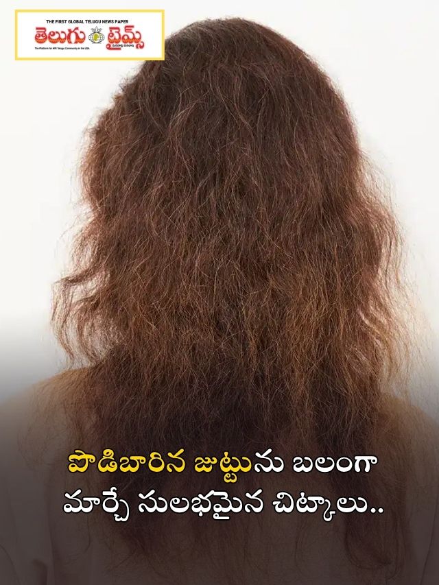 పొడిబారిన జుట్టును బలంగా మార్చే సులభమైన చిట్కాలు..