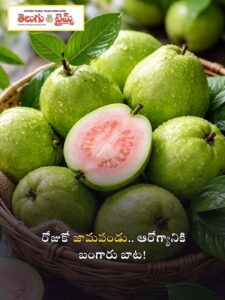 A guava a day... a golden path to health!