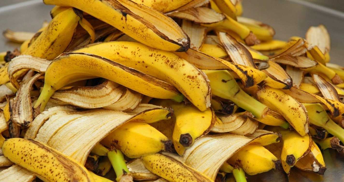 Banana peels helps with color&quality of the flowers