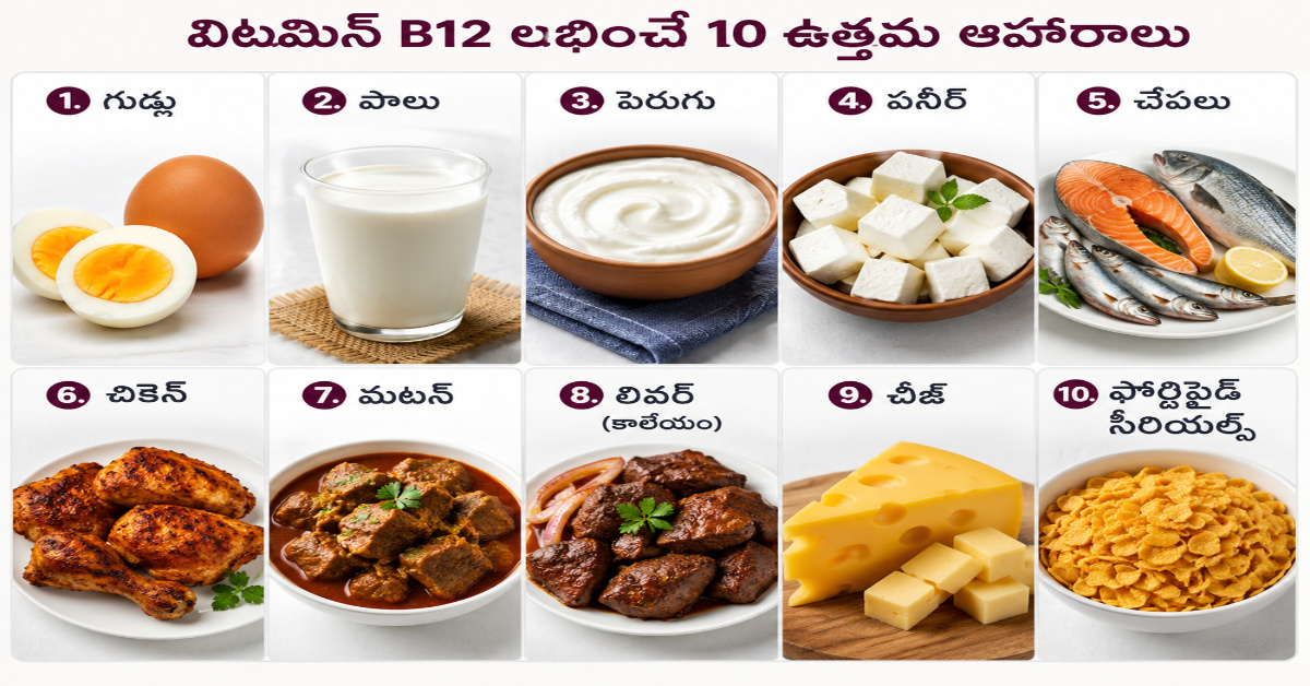 est-foods-that-provide-Vitamin-B12 