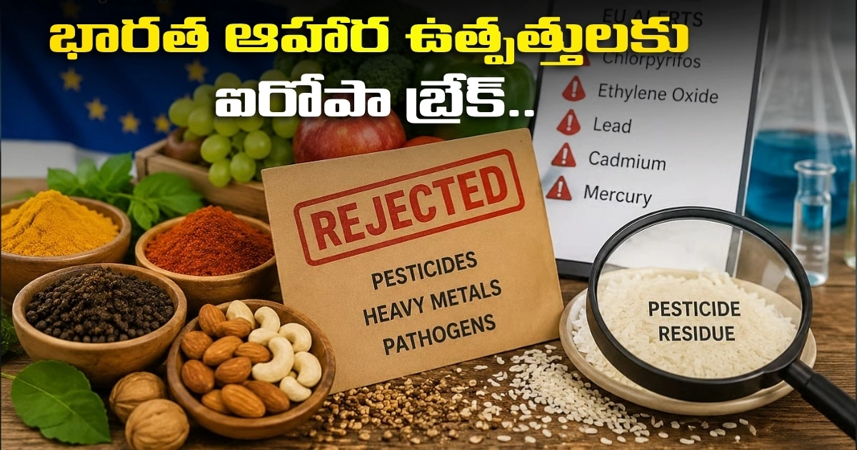 భారత ఆహార ఉత్పత్తులకు ఐరోపా బ్రేక్.. 450కి పైగా రకాలు తిరస్కరణ Europe Puts The Brakes On Indian Food Products Over 450 Varieties Rejected