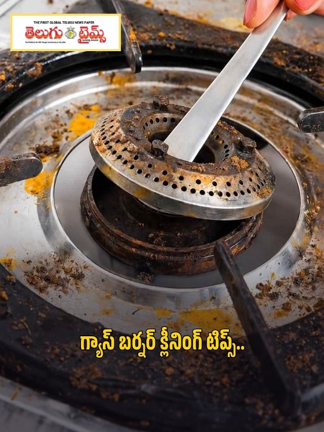 గ్యాస్ బర్నర్ క్లీనింగ్ టిప్స్..
