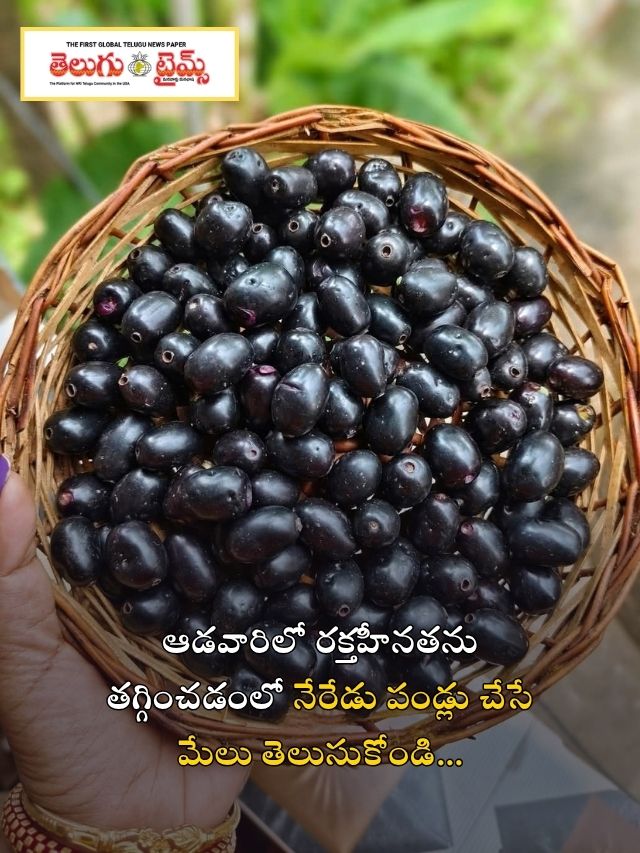 ఆడవారిలో రక్తహీనతను తగ్గించడంలో నేరేడు పండ్లు చేసే మేలు తెలుసుకోండి.
