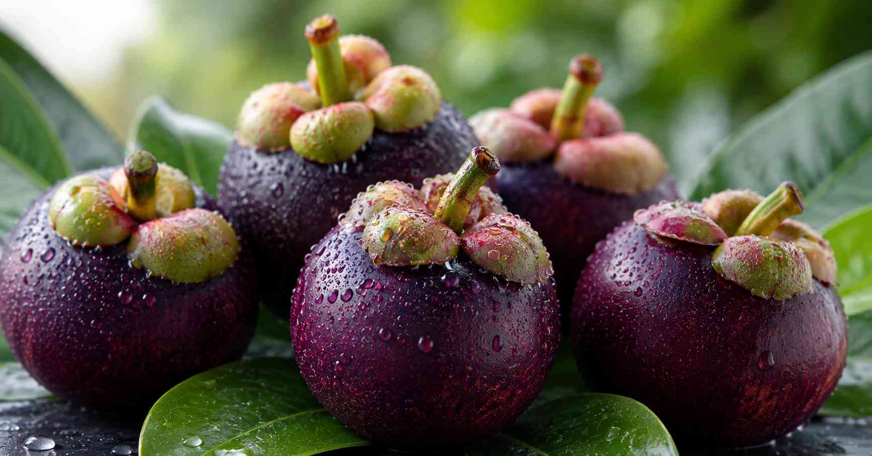 Mangosteen contains Vitamin C, fiber, and manganese