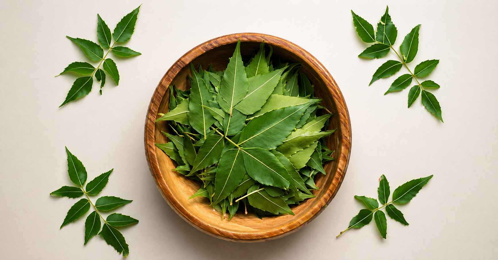 Neem leaves help reduce infections