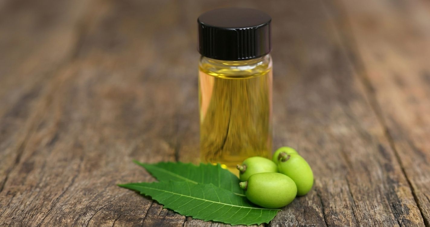 Neem oil helps plants healthy