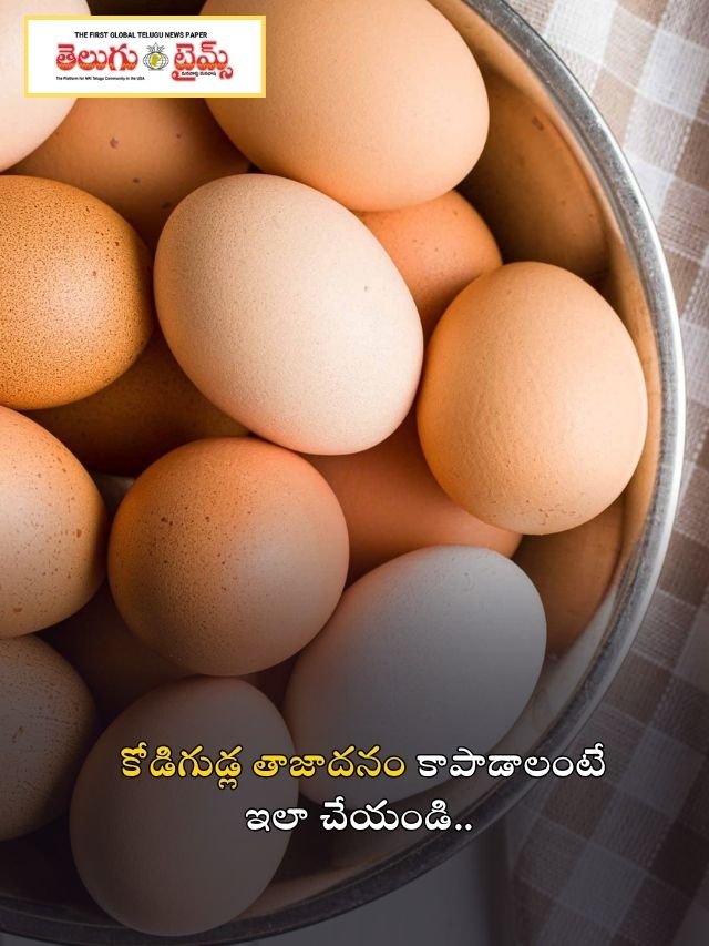 కోడిగుడ్ల తాజాదనం కాపాడాలంటే ఇలా చేయండి..