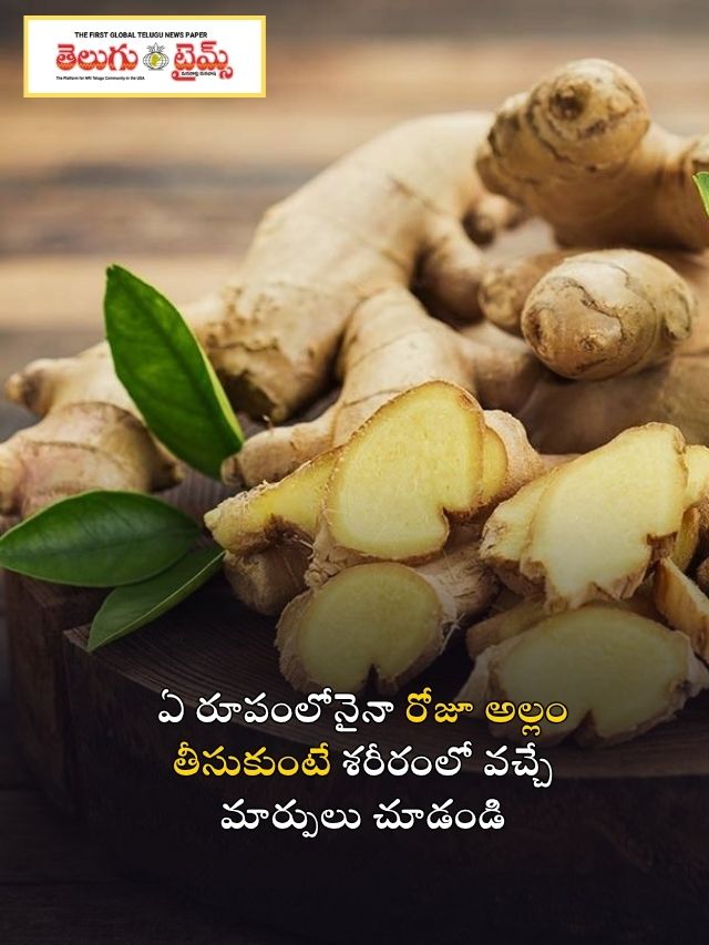 ఏ రూపంలోనైనా రోజూ అల్లం తీసుకుంటే శరీరంలో వచ్చే మార్పులు చూడండి