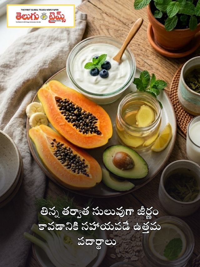 తిన్న తర్వాత సులువుగా జీర్ణం కావడానికి సహాయపడే ఉత్తమ పదార్థాలు