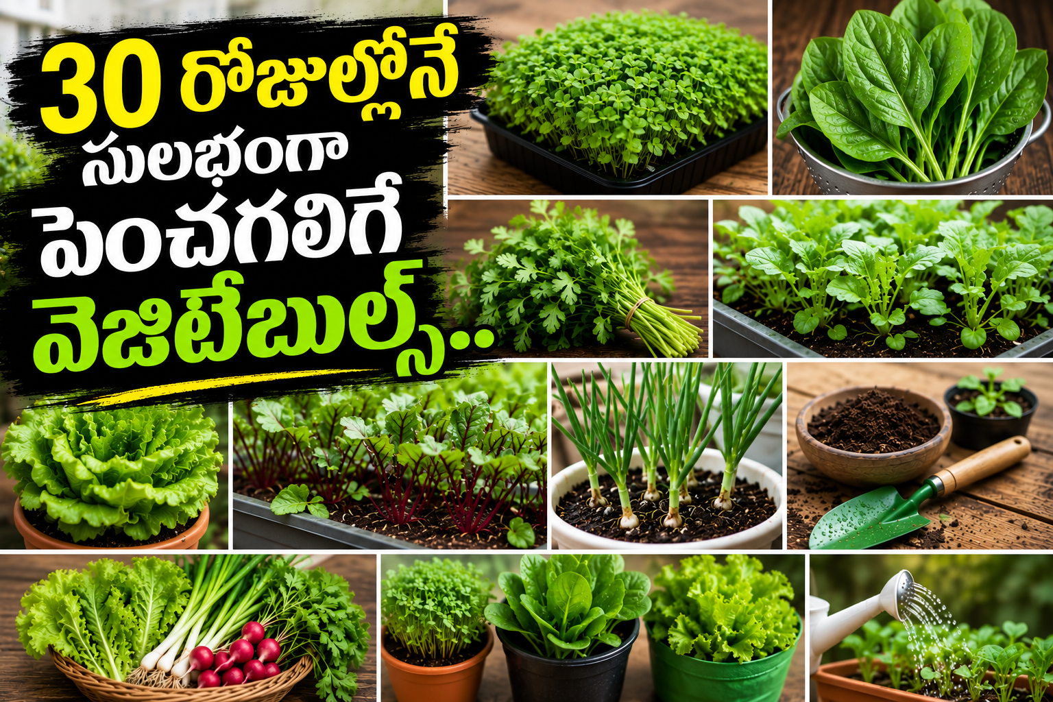 30 రోజుల్లోనే సులభంగా పెంచగలిగే వెజిటేబుల్స్.. Vegetables That Can Be Easily Grown In Just 30 Days