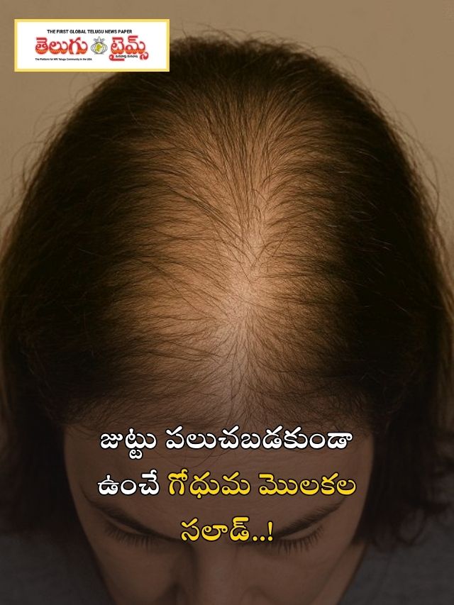 జుట్టు పలుచబడకుండా ఉంచే గోధుమ మొలకల సలాడ్..!