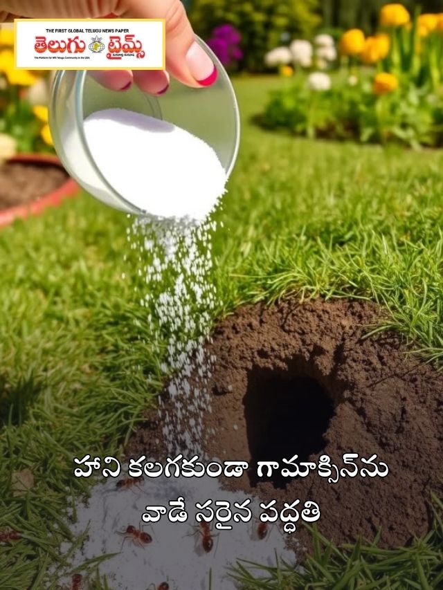 హాని కలగకుండా గామాక్సిన్‌ను వాడే సరైన పద్ధతి