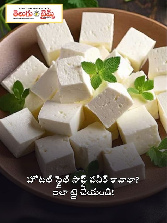హోటల్ స్టైల్ సాఫ్ట్ పనీర్ కావాలా? ఇలా ట్రై చేయండి!
