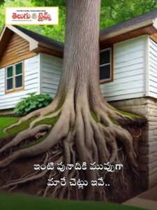 house's foundation