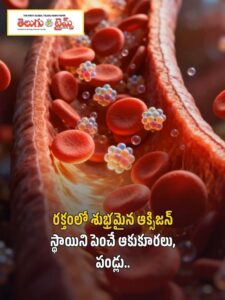 increase oxygen levels in the blood