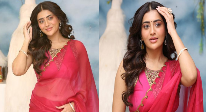 ఎయిర్ హోస్టెస్‌గా కెరీర్ ప్రారంభించాను. ఫుడ్, కాఫీ వ్యాపారాల్లో ప్రస్తుతం బిజీగా ఉన్నాను – రాశీ సింగ్