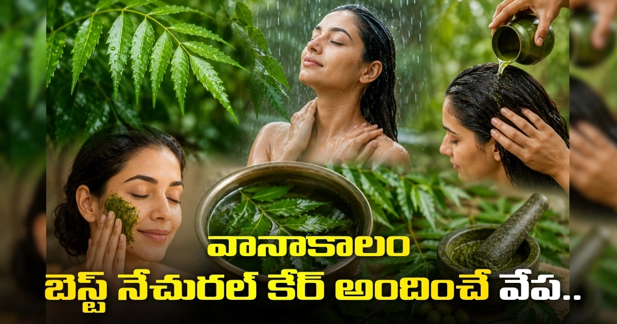Neem Benefits: వానాకాలం బెస్ట్ నేచురల్ కేర్ అందించే వేప.. Neem Offers The Best Natural Care During The Rainy Season