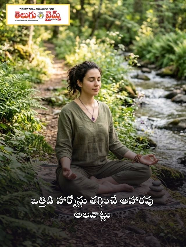 ఒత్తిడి హార్మోన్లు తగ్గించే ఆహారపు అలవాట్లు