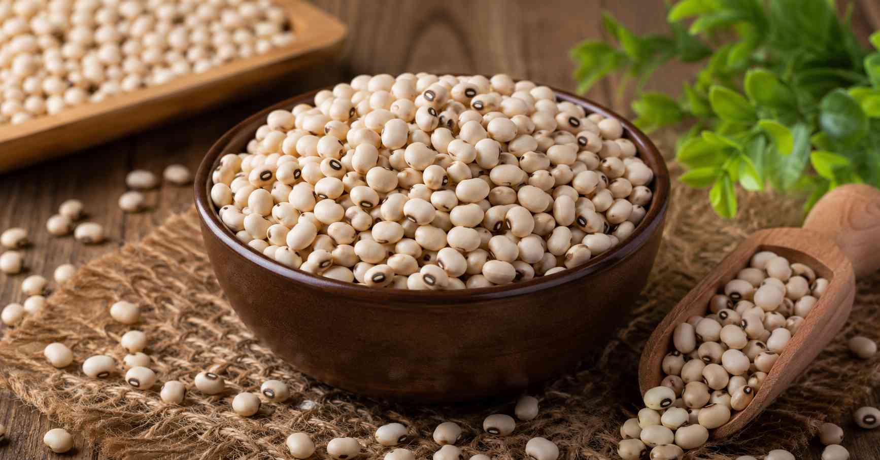 Strength for muscles and blood